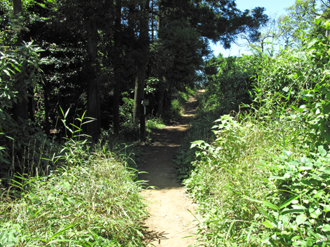 20150715hike (152)